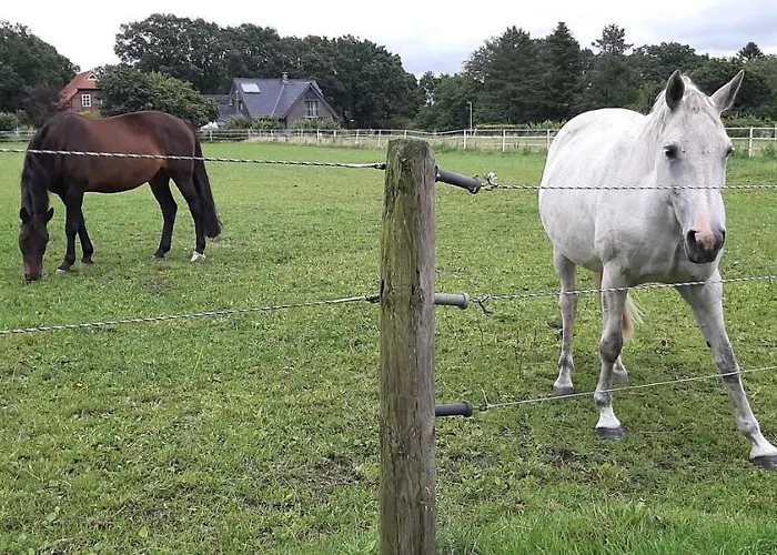 بيت للعطل Hof Amelung *